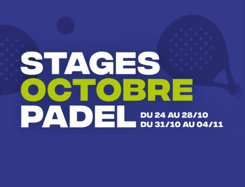 Stages octobre 2022